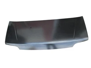 Citroen Jumper 2002-2007 Motor Kaputu (İceli - Çekomastikli) (Eagle Body) (Oem No:7901K0) ürün görseli 1