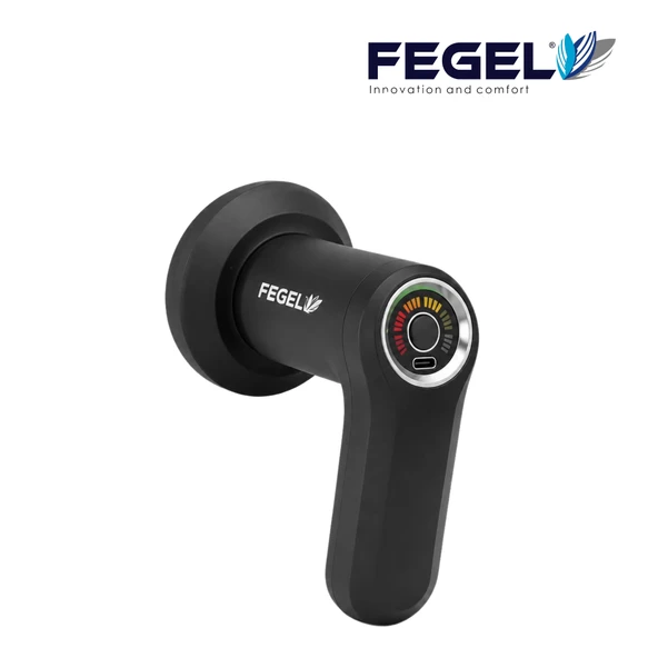 Fegel FG-720 Shiatsu 5 Başlıklı Masaj Aleti,6 Hız Kademeli, Yağ Yakımını Destekleyen Tüm Vücut Masaj ürün görseli 1