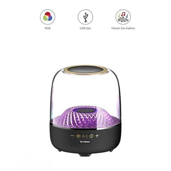 D33 Siyah Taşınabilir Kablosuz Bluetooth Hoparlör ürün görseli 1