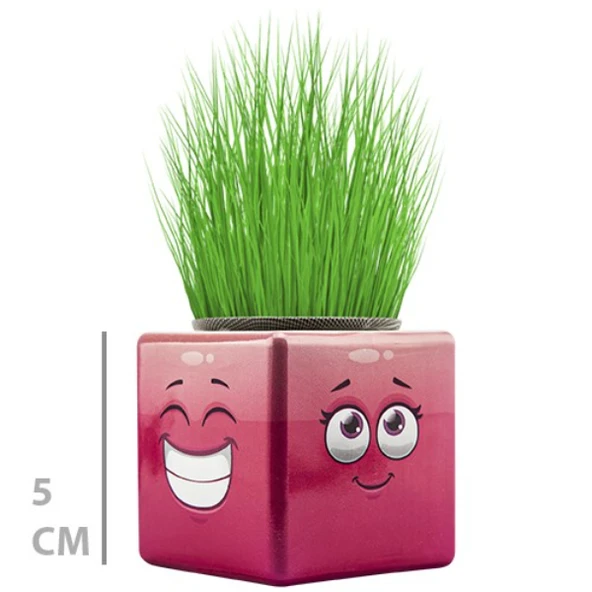 Çim Adam Mini Küp Emoji Figürlü 1 Adet ürün görseli 1