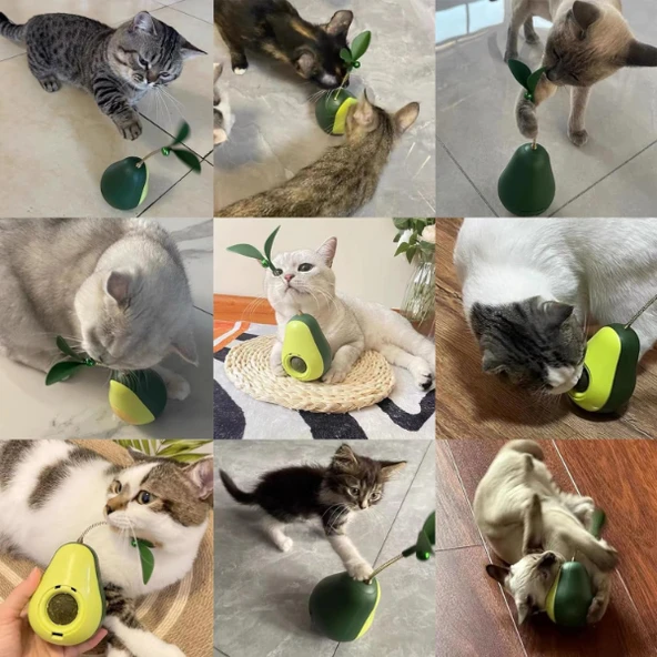 Avokado Şeklinde Kedi Naneli ve Mama Hazneli Kedi Oyuncağı ürün görseli 1