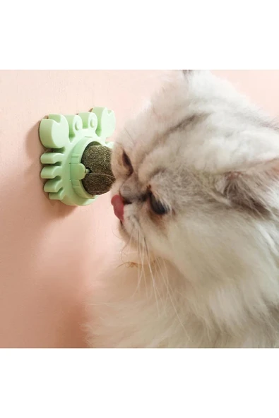 Yengeç Kedi Otu Oyun Topu ürün görseli 1
