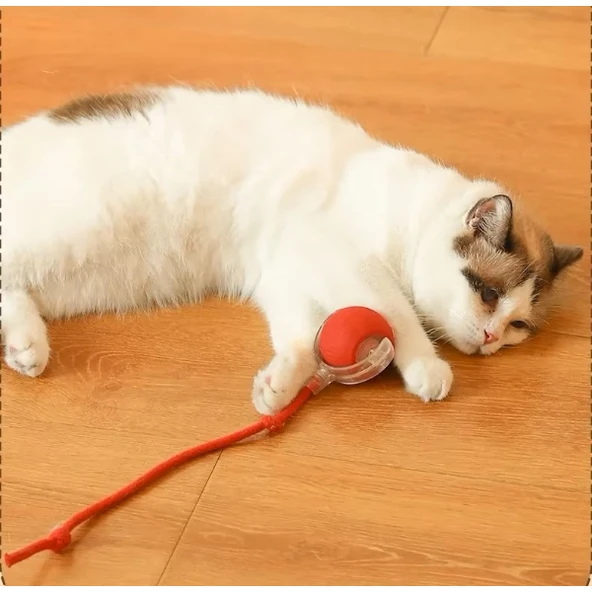 Şarjlı Kedi Oyuncağı - Resim 5
