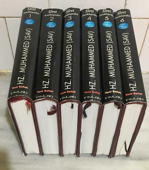 SİRET ANSİKLOPEDİSİ 6 Cilt - Tam Takım -(Sahafiye Kitap) ürün görseli 1