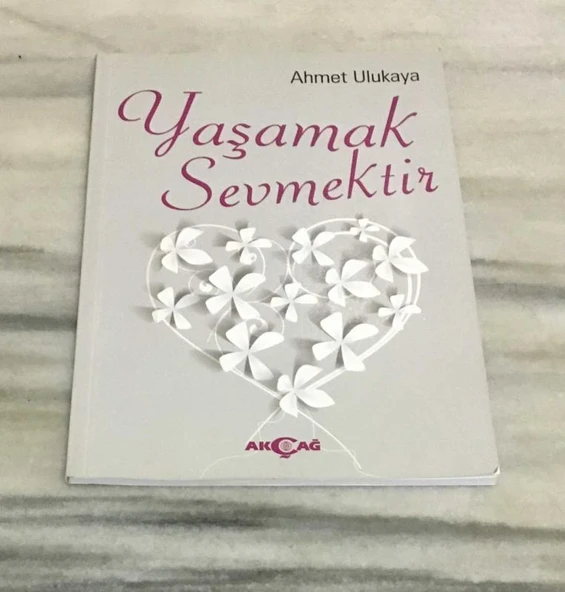 YAŞAMAK SEVMEKTİR(Sahafiye Kitap) ürün görseli 1