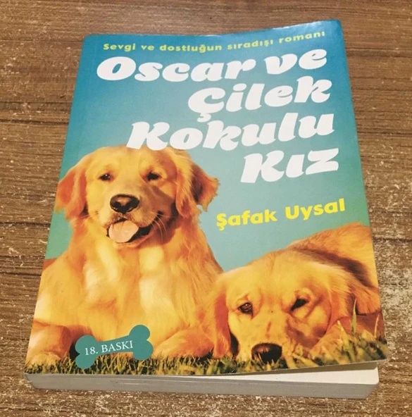 OSCAR VE ÇİLEK KOKULU KIZ 18.BASKI(Sahafiye Kitap) ürün görseli 1