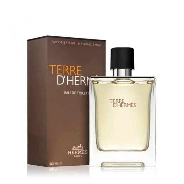 Hermes Terre D'Hermes EDT 100 ml Erkek Parfümü ürün görseli 1