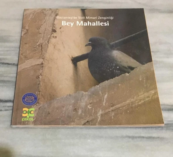 Gaziantep'te Sivil Mimari Zenginliği BEY MAHALLESİ(Sahafiye Kitap) ürün görseli 1
