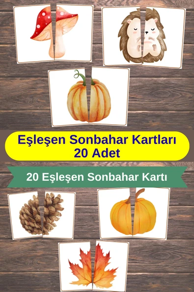 Organik Yolda Sonbahar Eşleştirme Kartları Şablonu, Montessori, 20 Adet ürün görseli 1