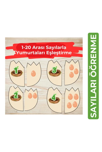 Organik Yolda 1-20 Arası Sayılarla Yumurtaları Eşleştirme (10 Sayfa A4 Boyut) ürün görseli 1