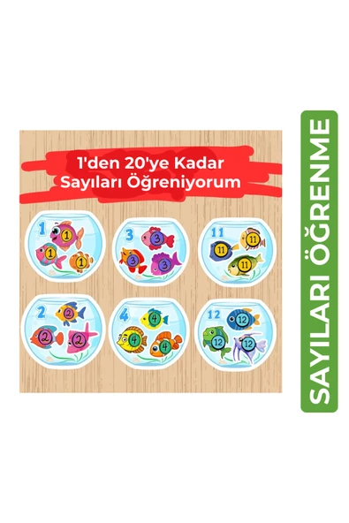 Organik Yolda 1'den 20'ye Kadar Sayıları Öğreniyorum (15 Sayfa A4 Boyut) ürün görseli 1