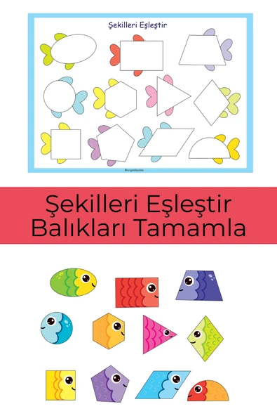 Organik Yolda Şekilleri Kes, Eşleştir ve Balığı Tamamla. ürün görseli 1