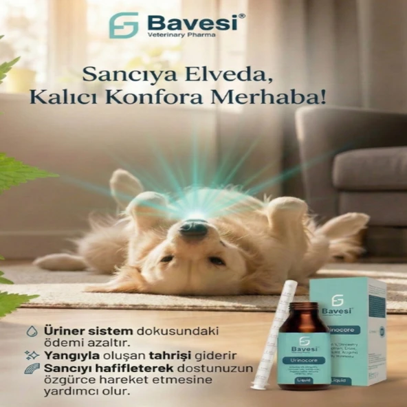Bavesi Urinocore Kedi ve Köpek İdrar Yolu ve Böbrek Destekleyici Likit Takviye 120 ml ürün görseli 1