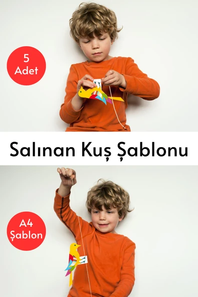 Welly Jones Salınan Kuş Şablonu, 5 Adet A4 Boyutta Kalın ve Sert Kağıttan. ürün görseli 1