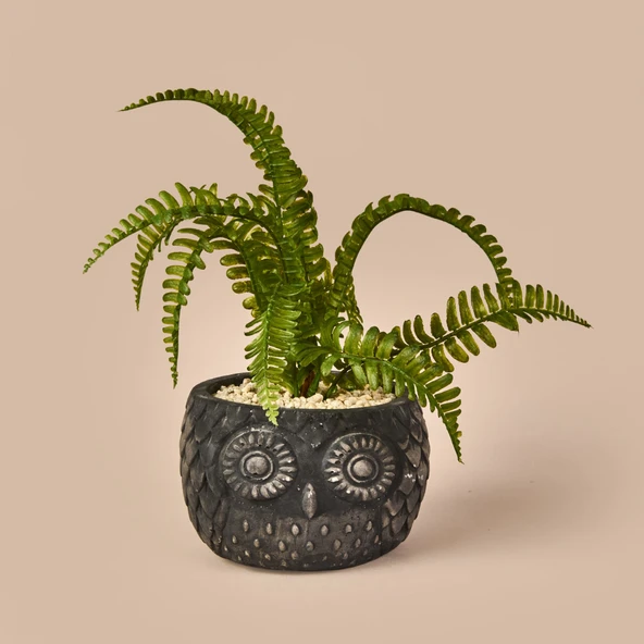 Saksılı Yapay Çiçek - Siyah / Yeşil - 29 cm ürün görseli 1