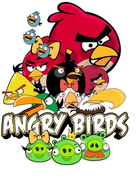 PASTA iÇiN  RESiM BASKISI Angry bird  YENEBİLİR A 4 PASTA BASKISI ürün görseli 1