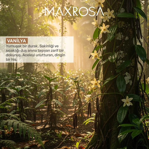 Maxrosa Vanilya Duş Jeli 600 ml x 4 Adet - Resim 4