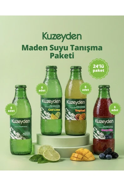 Maden Suyu Tanışma Paketi | 24x200ml | 6 x Sade,Berry Mix, Tropical, Cool Lime ürün görseli 1