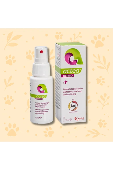 candioli ACTEA DERMO 50ML - Dermatolojik Losyon -SKT 04/2029- ürün görseli 1