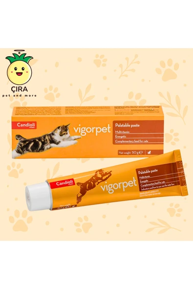 candioli Vigorpet Cat Pasta 50 g – Kedi İçin Çoklu Vitamin ve Amino Asit Takviyesi -skt 05.2027- ürün görseli 1