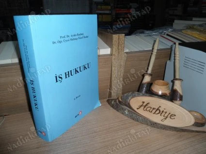 İŞ HUKUKU / ÇALIŞANLARIN HAKLARI VE SORUNLARI - 6. BASKI ürün görseli 1