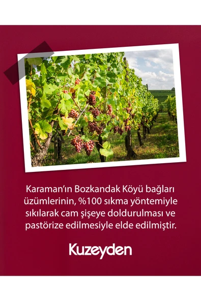 %100 Sıkma Üzüm Suyu (4x250ml) - Resim 4