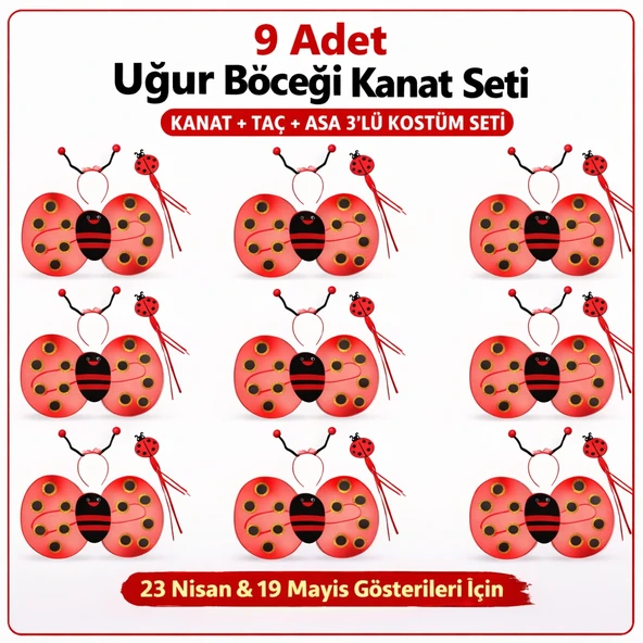 9’lu Uğur Böceği Kostüm Seti – Kanat Taç Asa ürün görseli 1