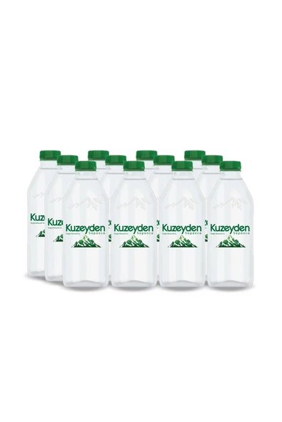 Premium Doğal Mineralli Su 12x400ml ürün görseli 1