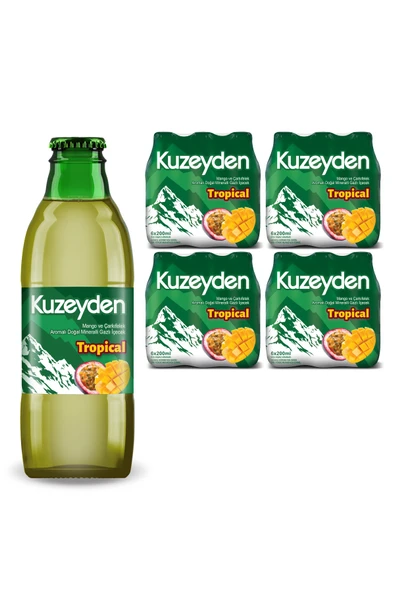 Maden Suyu Tropical (24x200ml) ürün görseli 1