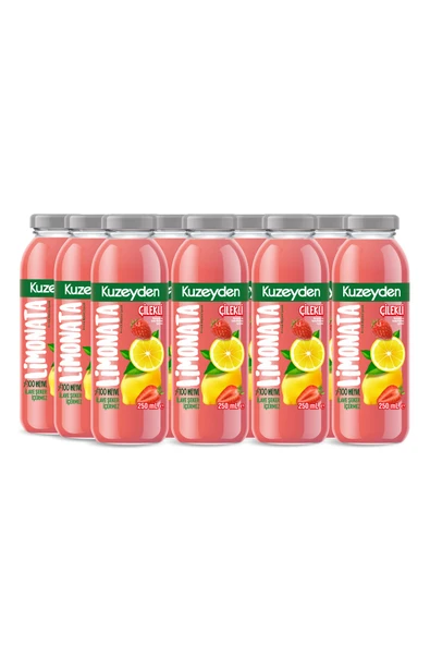Çilekli Limonata | 12x250ml | İlave şeker, katkı ve koruyucu madde içermez | 12 Adet | %100 Meyve ürün görseli 1