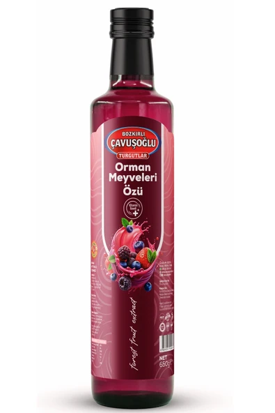 Orman Meyveleri Özü 650G ürün görseli 1