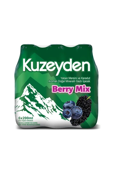 Maden Suyu Berry Mix 6x200 ml ürün görseli 1