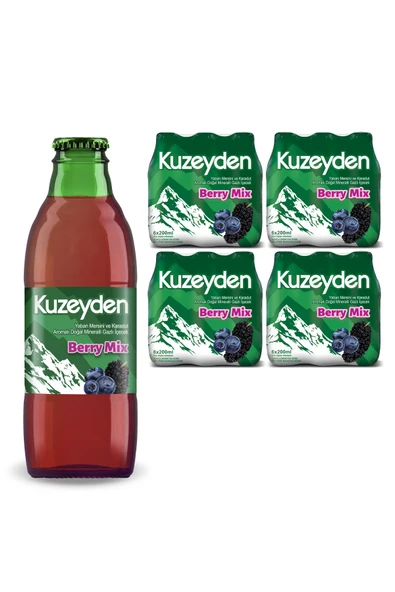 Maden Suyu Berry Mix (24x200ml) ürün görseli 1