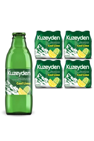 Maden Suyu Cool Lime (24x200ml) ürün görseli 1
