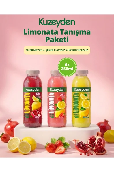 Limonata Tanışma Paketi | 6x250ml | İlave şeker, katkı ve koruyucu madde içermez | %100 Meyve ürün görseli 1