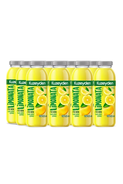 Limonata | 12x250ml | İlave şeker, katkı ve koruyucu madde içermez | 12 Adet | %100 Meyve ürün görseli 1