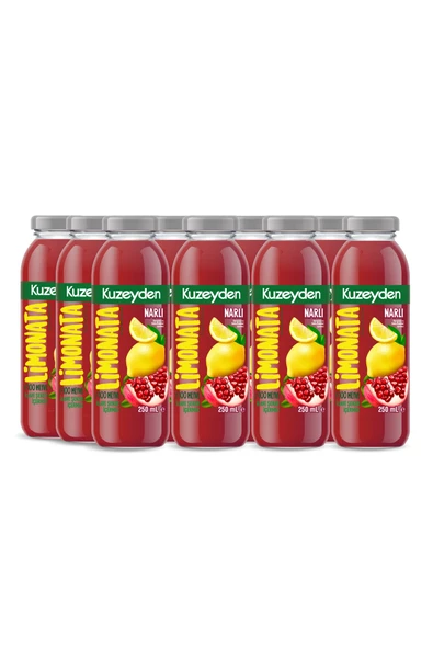 Narlı Limonata | 12x250ml | İlave şeker, katkı ve koruyucu madde içermez | 12 Adet | %100 Meyve ürün görseli 1