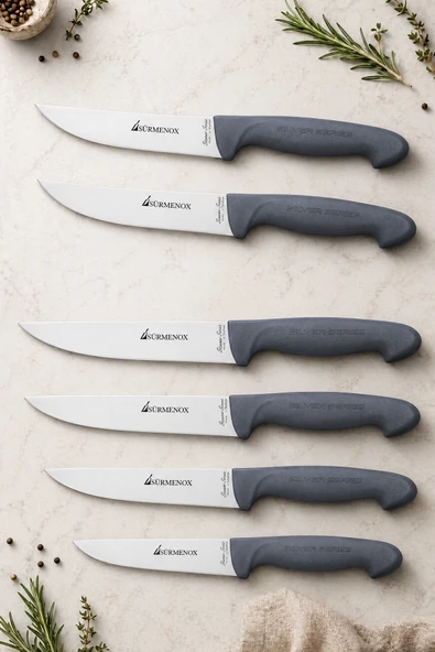 Sürmene Silver Serisi 6 lı Mutfak Bıçak Seti Gri Sap Et Ekmek Sebze Meyve Kesme Bıçağı (Srm-011) ürün görseli 1