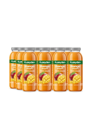 %100 Karışık Meyve Mango Dream (12x250ml) ürün görseli 1