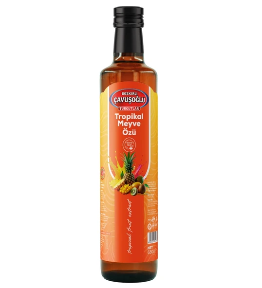 Tropikal Meyve Özü 650G ürün görseli 1