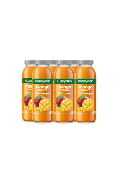 %100 Karışık Meyve Mango Dream (6x250ml) ürün görseli 1