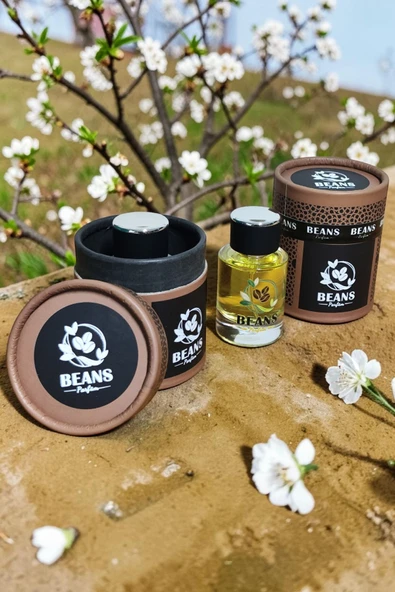 Beans 2014 Kadın Meyvemsi Parfüm 50ml %25 Esans (V.S. Bombshell Karakterli) ürün görseli 1