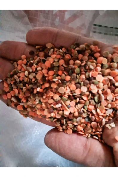 KADİRTARIM 5 KG KIRMIZI MERCİMEK YEŞİL MERCİMEK KARIŞIK ürün görseli 1