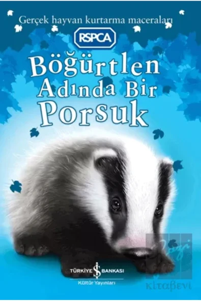 TÜRKİYE İŞ BANKASI KÜLTÜR YAYINLARI Böğürtlen Adında Bir Porsuk ürün görseli 1