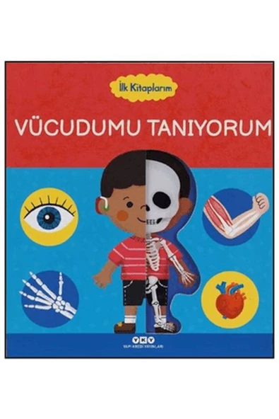 Yapı Kredi Yayınları İlk Kitaplarım - Vücudumu Tanıyorum ürün görseli 1