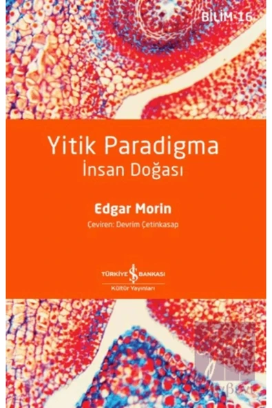 TÜRKİYE İŞ BANKASI KÜLTÜR YAYINLARI Yitik Paradigma – Insan Doğası ürün görseli 1