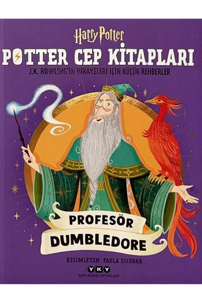 Yapı Kredi Yayınları Potter Cep Kitapları - Profesör Dumbledore ürün görseli 1