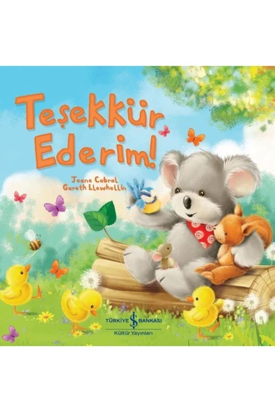 TÜRKİYE İŞ BANKASI KÜLTÜR YAYINLARI Teşekkür Ederim ürün görseli 1