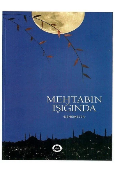 Diyanet İşleri Başkanlığı Mehtabın Işığında & Denemeler ürün görseli 1