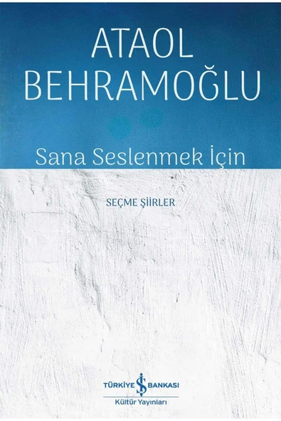 TÜRKİYE İŞ BANKASI KÜLTÜR YAYINLARI Sana Seslenmek İçin - Seçme Şiirler ürün görseli 1